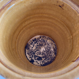 Vintage NORTERRA Terracotta Planter: Honey Crackle Glaze, Portugal
