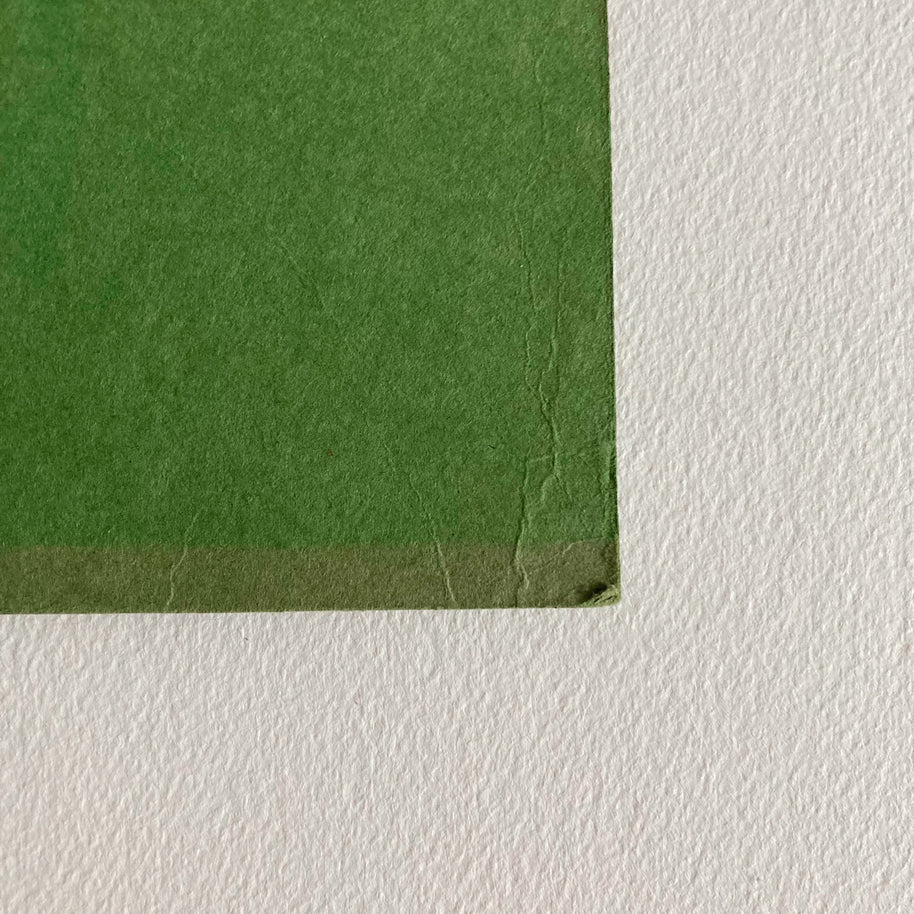 Mid-Century Pastel Portrait: Woman with Flower, Green Paper (12x8)