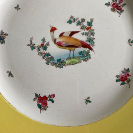 1920s Whieldon Ware Plates (Set of 3): Old Bow Bird & Floral Motif