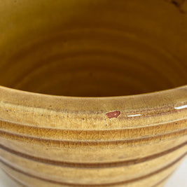 Vintage NORTERRA Terracotta Planter: Honey Crackle Glaze, Portugal