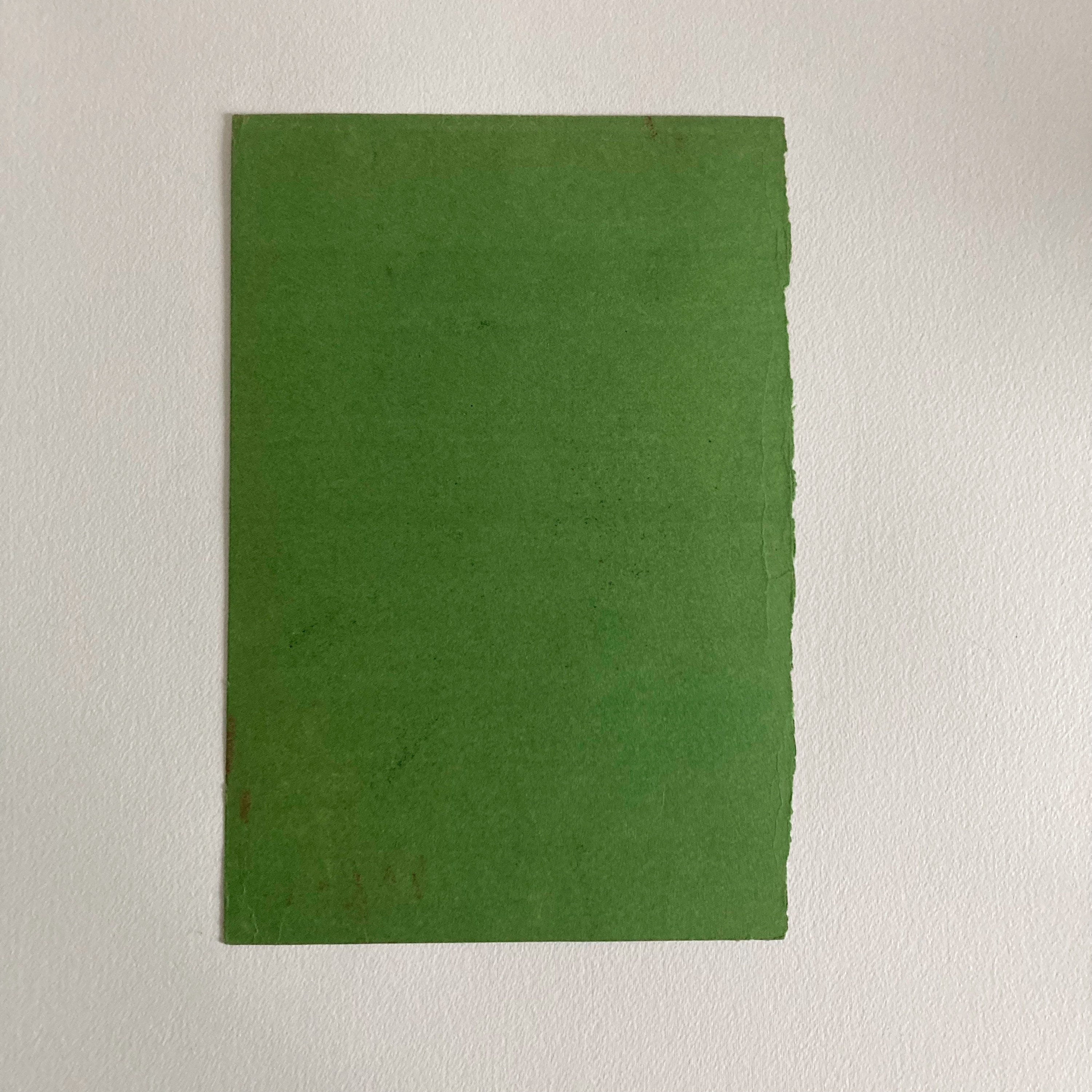 Mid-Century Pastel Portrait: Woman with Flower, Green Paper (12x8)