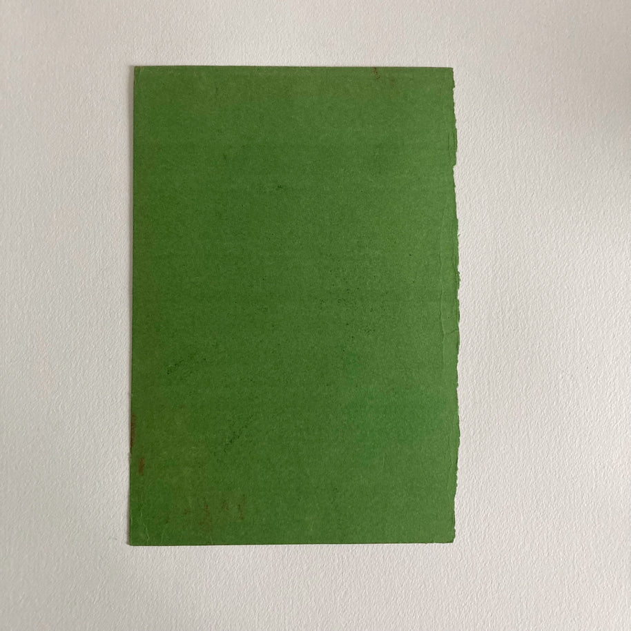Mid-Century Pastel Portrait: Woman with Flower, Green Paper (12x8)