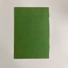 Mid-Century Pastel Portrait: Woman with Flower, Green Paper (12x8)
