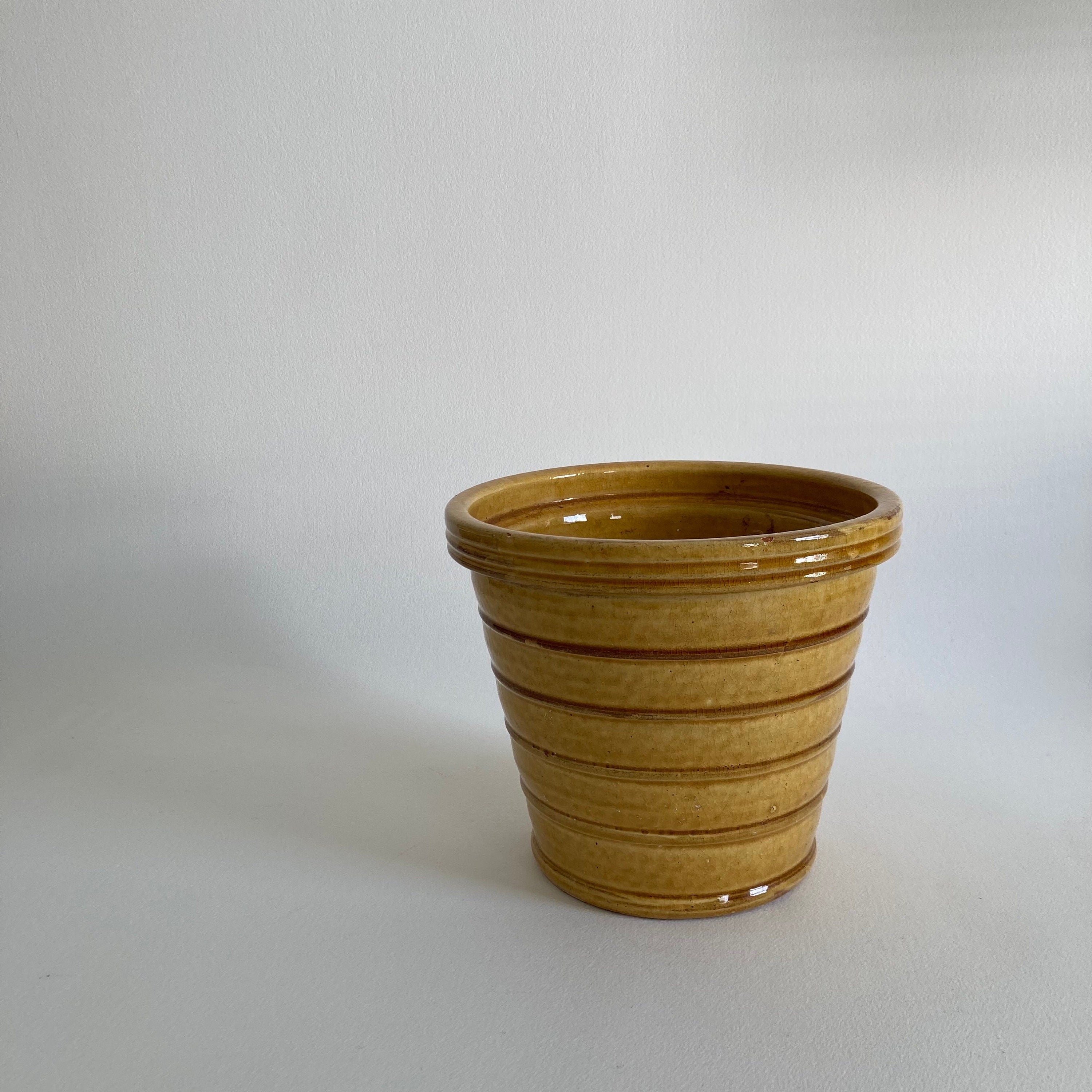 Vintage NORTERRA Terracotta Planter: Honey Crackle Glaze, Portugal