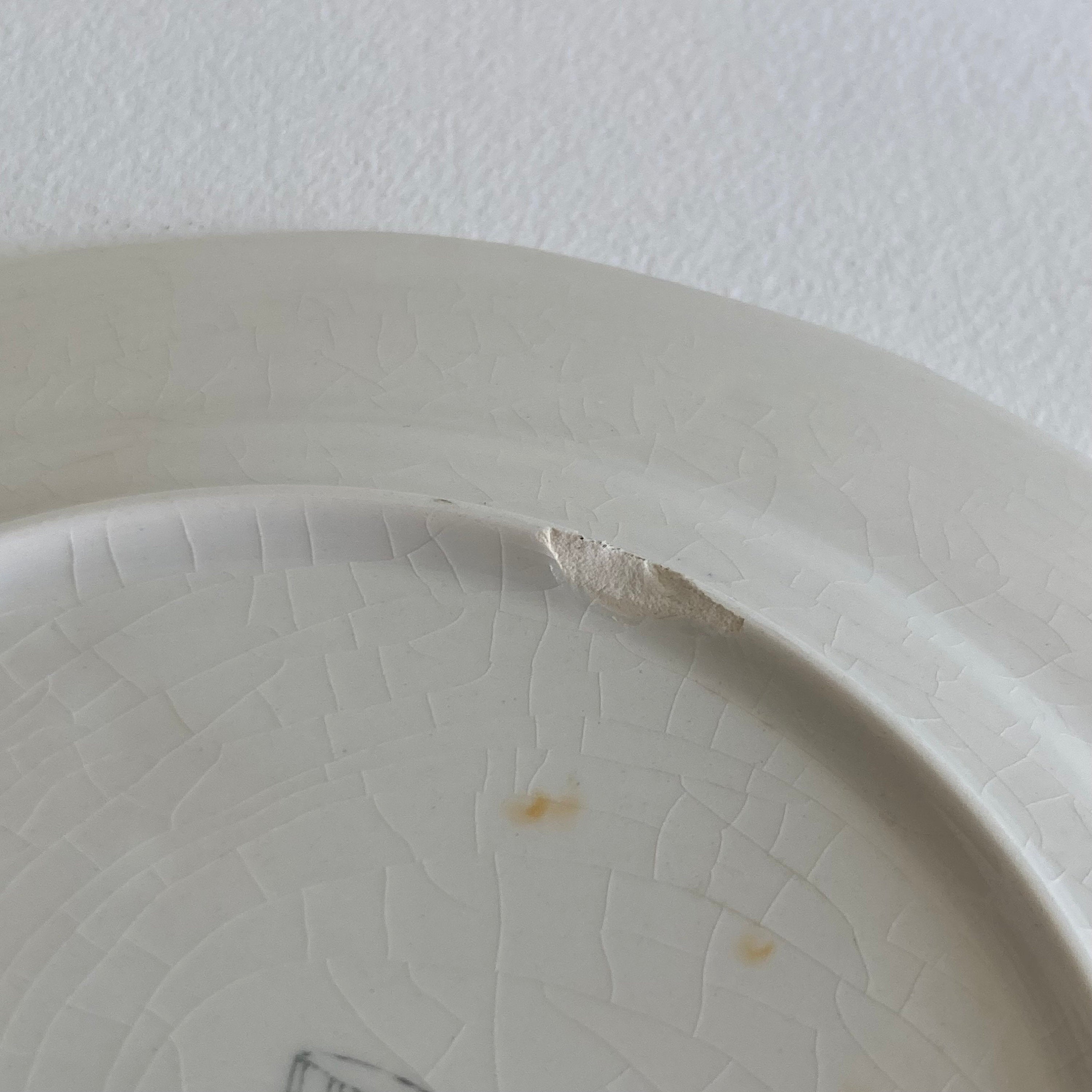 Longchamp Libellule Salad Plate: French Floral Wall Decor