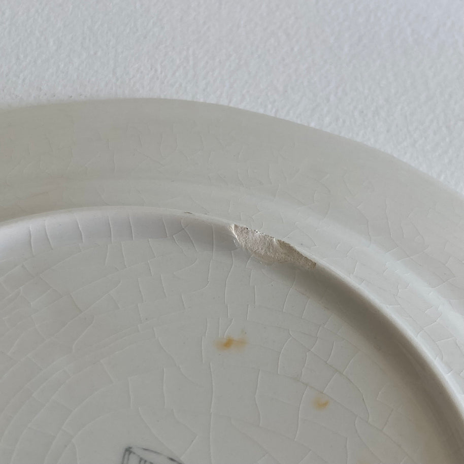Longchamp Libellule Salad Plate: French Floral Wall Decor