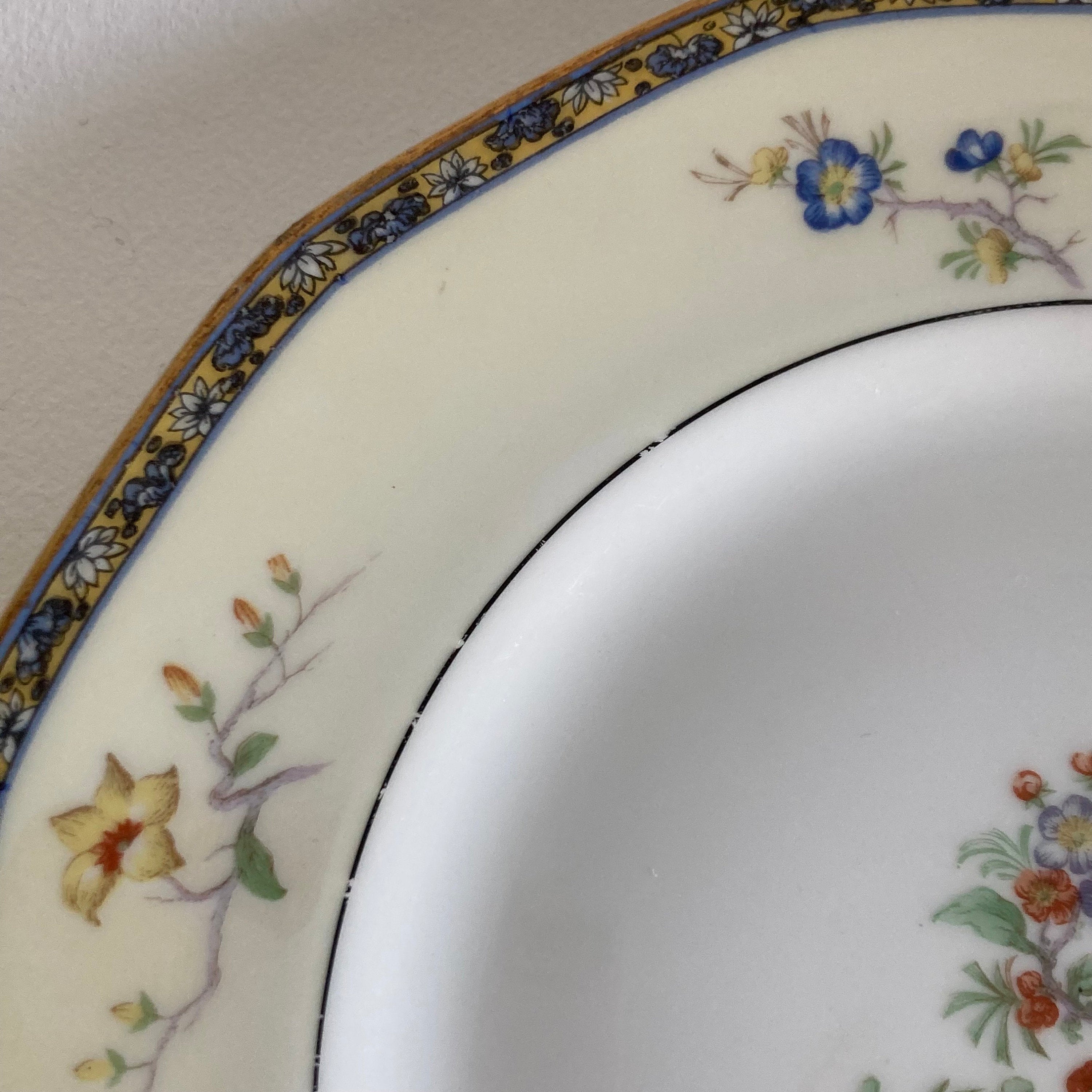 Haviland Limoges Montreux Dinner Plate: Floral Porcelain (Sold Per Plate)