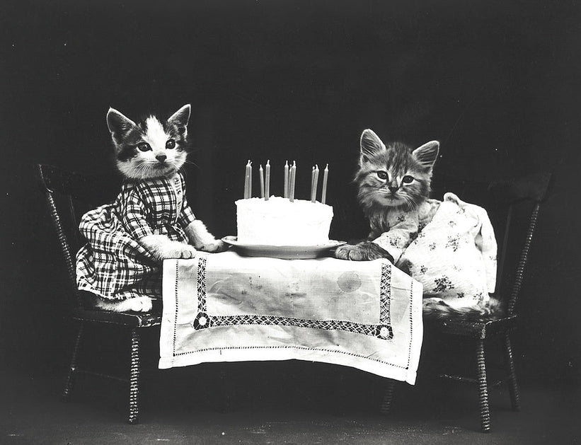 Black and white vintage photograph of two kittens seated at a small table with a cake and candles, dressed in patterned clothing against a dark studio background.