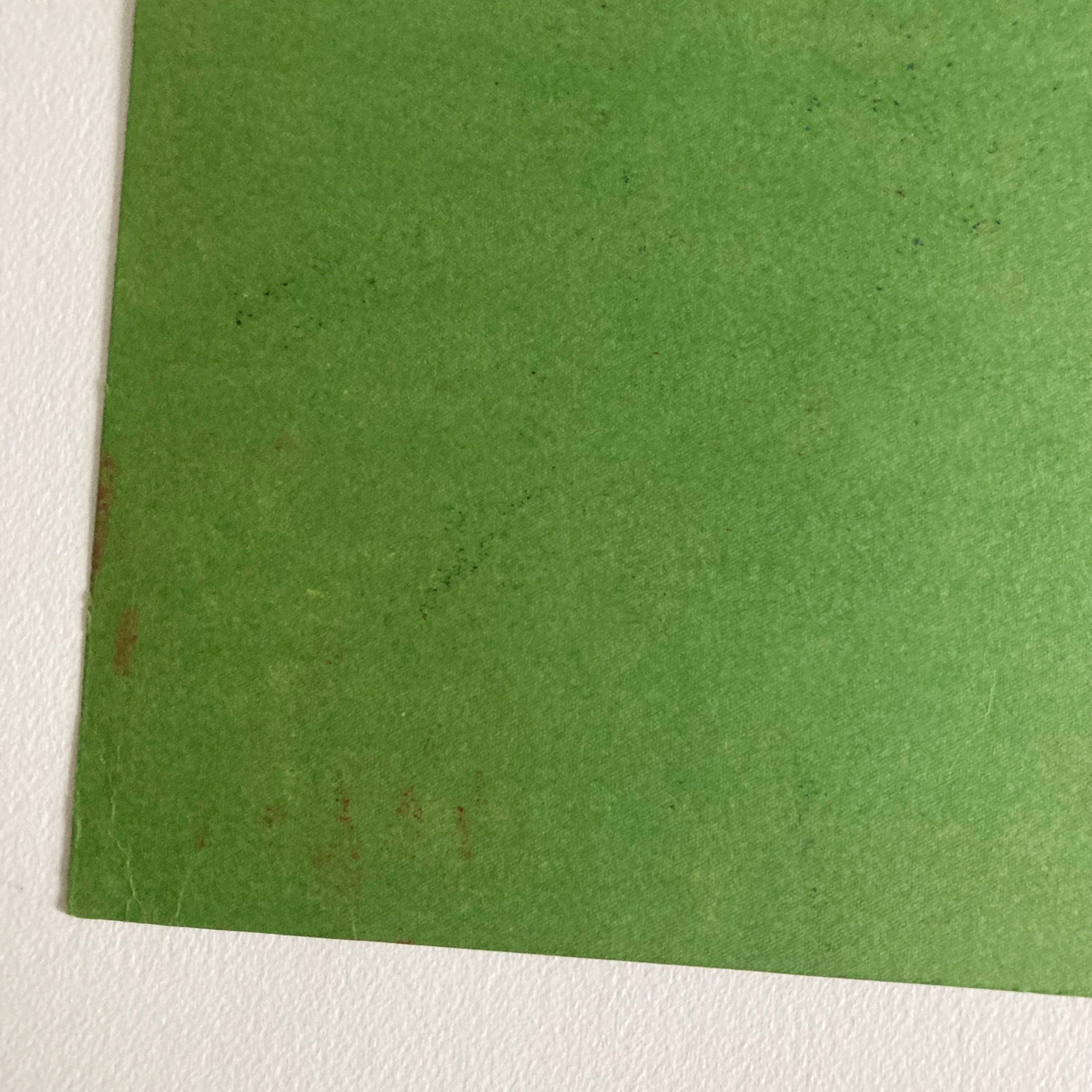 Mid-Century Pastel Portrait: Woman with Flower, Green Paper (12x8)