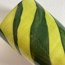 Artist Signed Ceramic Cup: Handmade Green Stripe Pen Container