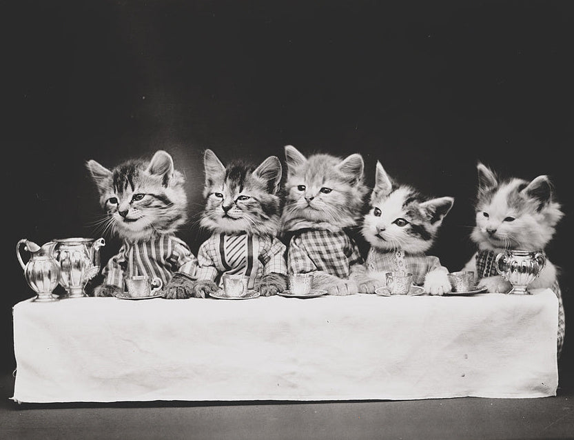 Black and white vintage photograph of five kittens posed across a tablecloth with small teacups and teapots, presented as a framed print.